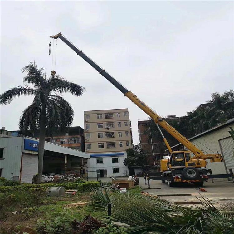 惠来汽车吊出租多少钱？全面解析与市场行情